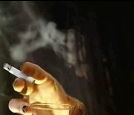 Birinci / Sevgi Erol Öçal