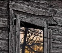 Seni Düşünüyorum / Sevgi Erol Öçal