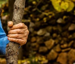 Aşkı Doğuran Analarımız Vardı / Heybet Akdoğan