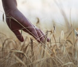 Umudum Kapanmayan Ölü Gözleri / Heybet Akdoğan