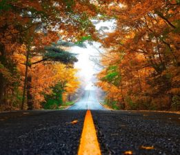 EYLÜL’Ü SEVMEK / Melek Koç