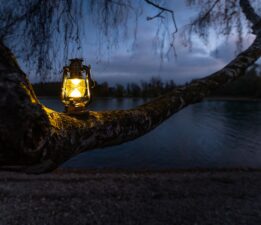 Köküm Derinde / Sevgi Erol Öçal