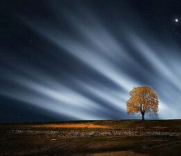 Turkuaz Anılarım / Uğur Ünen