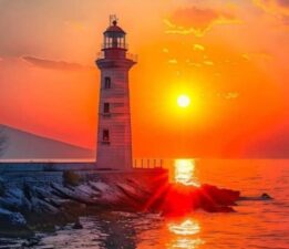 ĞAPENKLER / Sevgi Erol Öçal