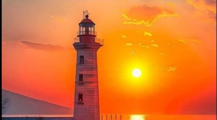 ĞAPENKLER / Sevgi Erol Öçal