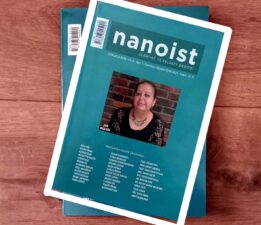 “nanoist” in yedinci sayısı yayımlandı