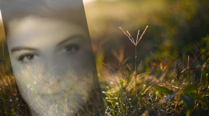 BENIM DOĞDUĞUM YERLERDE / Sevgi Erol Öçal