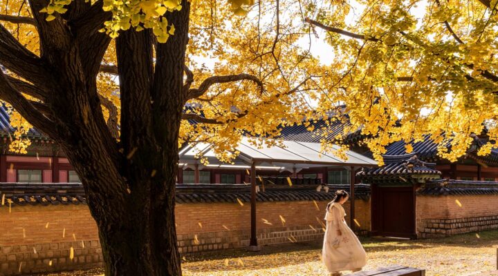 GÜNEŞİ SAKLI / Sevgi Erol Öçal