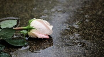 Aşk Bundan Sonra Haram / Heybet Akdoğan