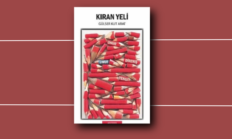 Yazar Gülser Kut Arat’ın ‘Kıran Yeli’ Adlı Öykü Kitabı İncelemesi / Ayşe Ayan