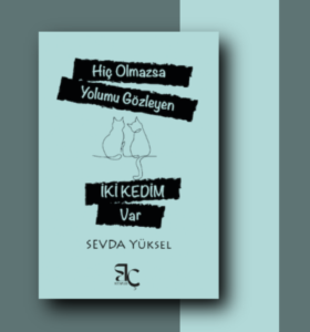 Sevda Yüksel’den Yeni Bir Öykü Kitabı: HİÇ OLMAZSA YOLUMU GÖZLEYEN İKİ KEDİM VAR / Aysu Sol