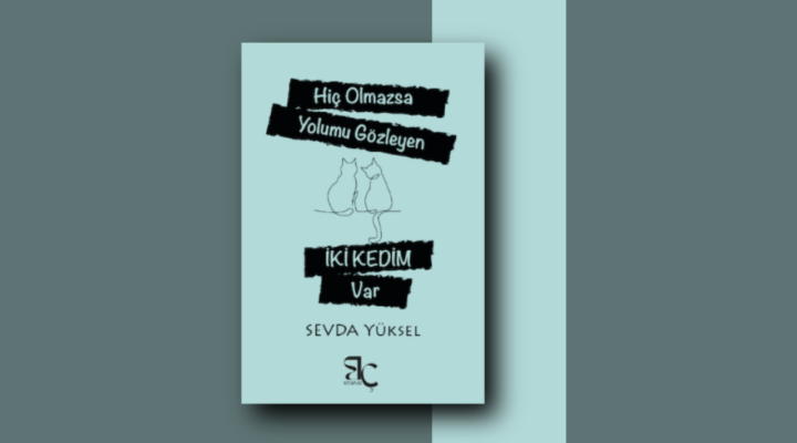 Sevda Yüksel’den Yeni Bir Öykü Kitabı: HİÇ OLMAZSA YOLUMU GÖZLEYEN İKİ KEDİM VAR / Aysu Sol