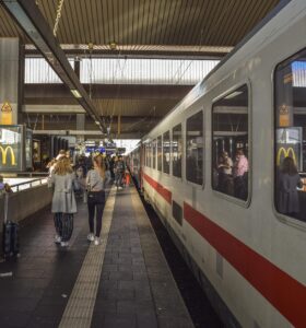 AYRIK OTLARI ARASINDA GELİNCİK / Süreyya Geçici