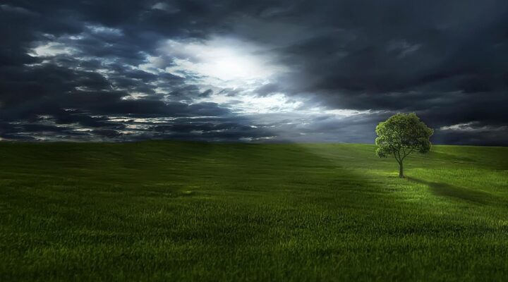 HAYDİ  UYANIN  HAYDİ / Sevgi Erol Öçal