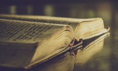 YAZARIN ACISI KİMİN UMURUNDA! / Mustafa Çifci