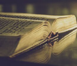 YAZARIN ACISI KİMİN UMURUNDA! / Mustafa Çifci