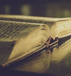 YAZARIN ACISI KİMİN UMURUNDA! / Mustafa Çifci