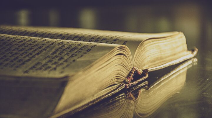 YAZARIN ACISI KİMİN UMURUNDA! / Mustafa Çifci