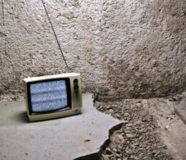 GÜNÜN SONUNDAKİ KARINCA / Erinç Büyükaşık